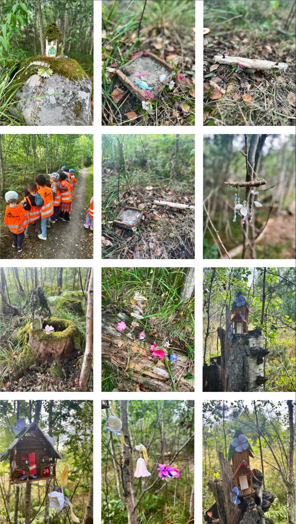 Utflyktstips för barn i Vega – en magisk förmiddag på Älvans Stig