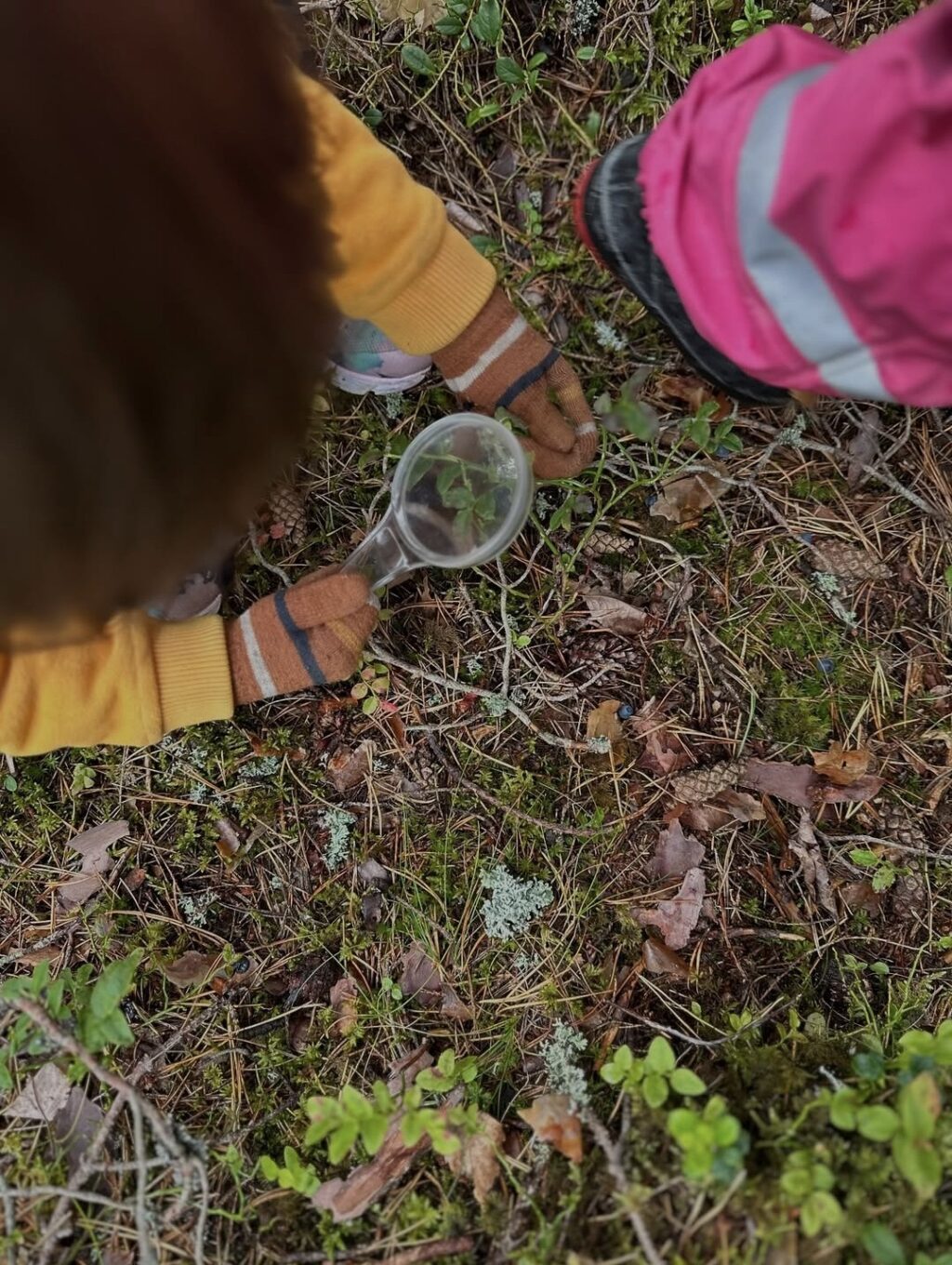 Nu är vi igång i naturen igen efter en härlig skolstart på våra utomhusförskolor!