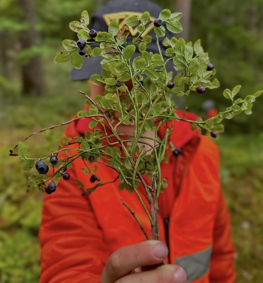 Hösten är snart här och skolan har dragit igång igen!