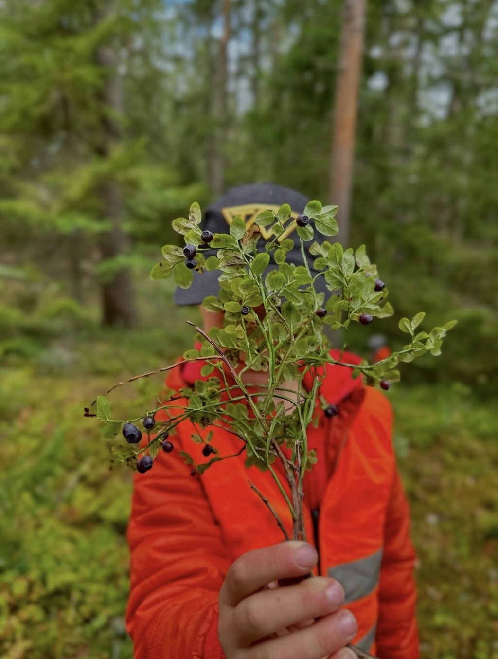 Nu är vi igång i naturen igen efter en härlig skolstart på våra utomhusförskolor!