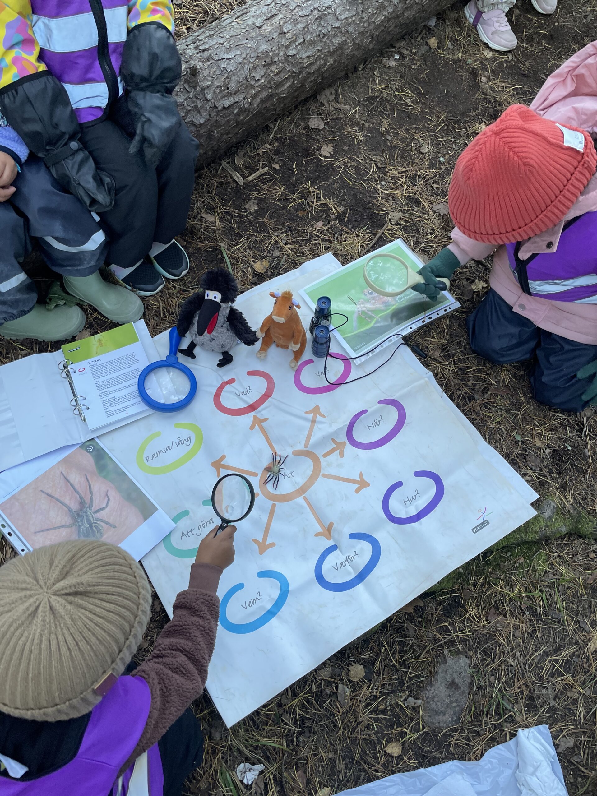 Mamma Mu och Kråkans äventyr i skogen!