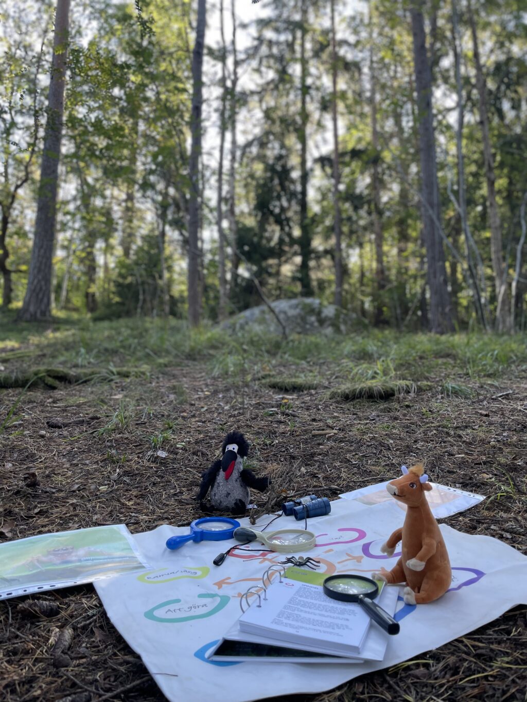Förskolan Piazzan i Kallhäll gick ut i skogen tillsammans med barnen. Mamma Mu och Kråkan fick följa med.
