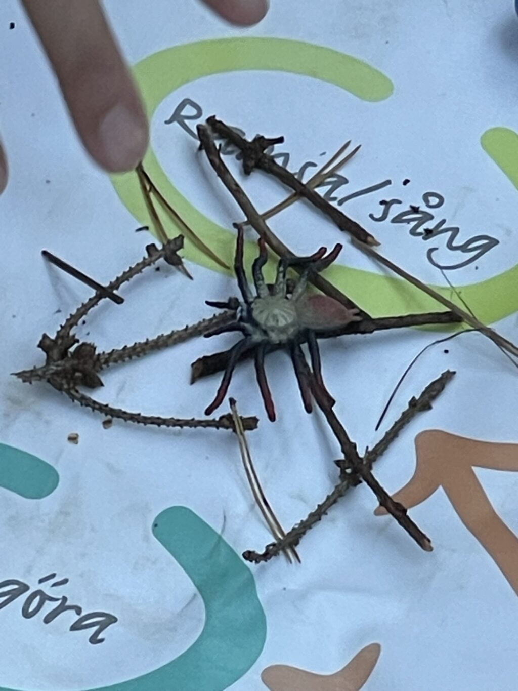 Förskolan Piazzan i Kallhäll gick ut i skogen tillsammans med barnen. Mamma Mu och Kråkan fick följa med.