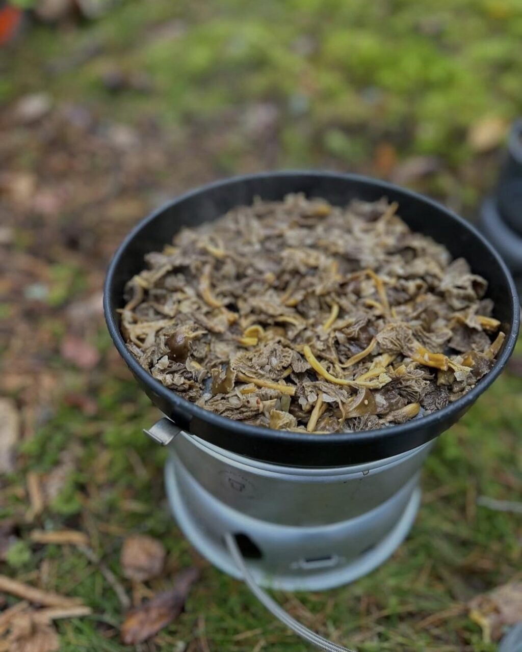 stormkök med kantarell