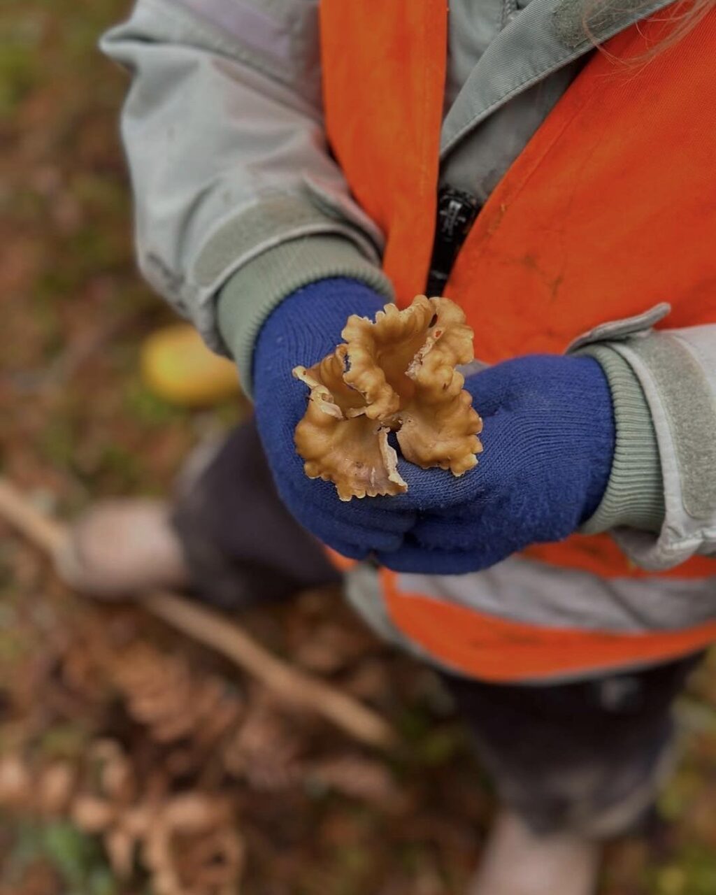 barn som håller kantarell
